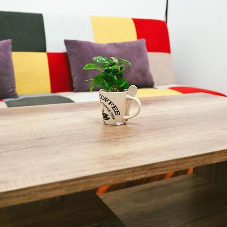Cozy Apartment Brašov Exteriér fotografie