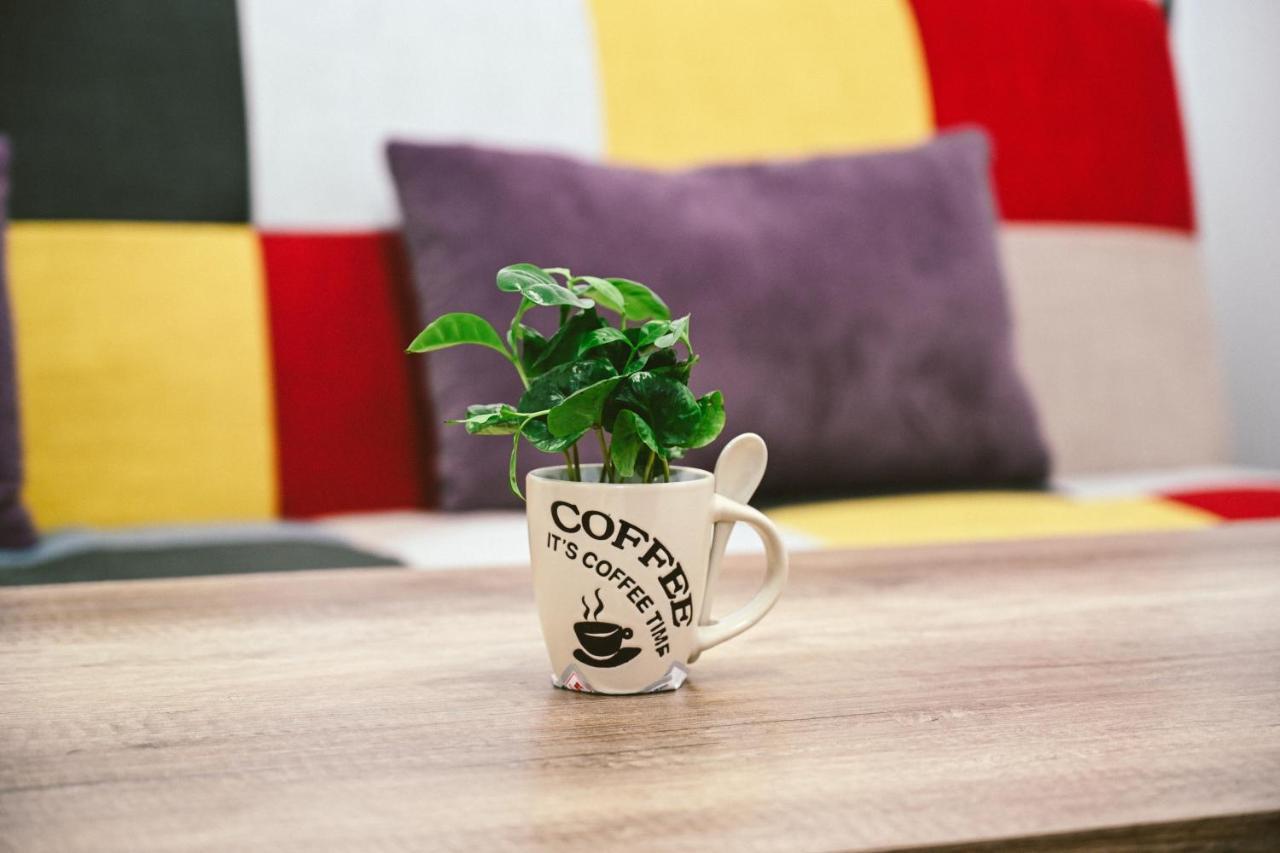 Cozy Apartment Brašov Exteriér fotografie